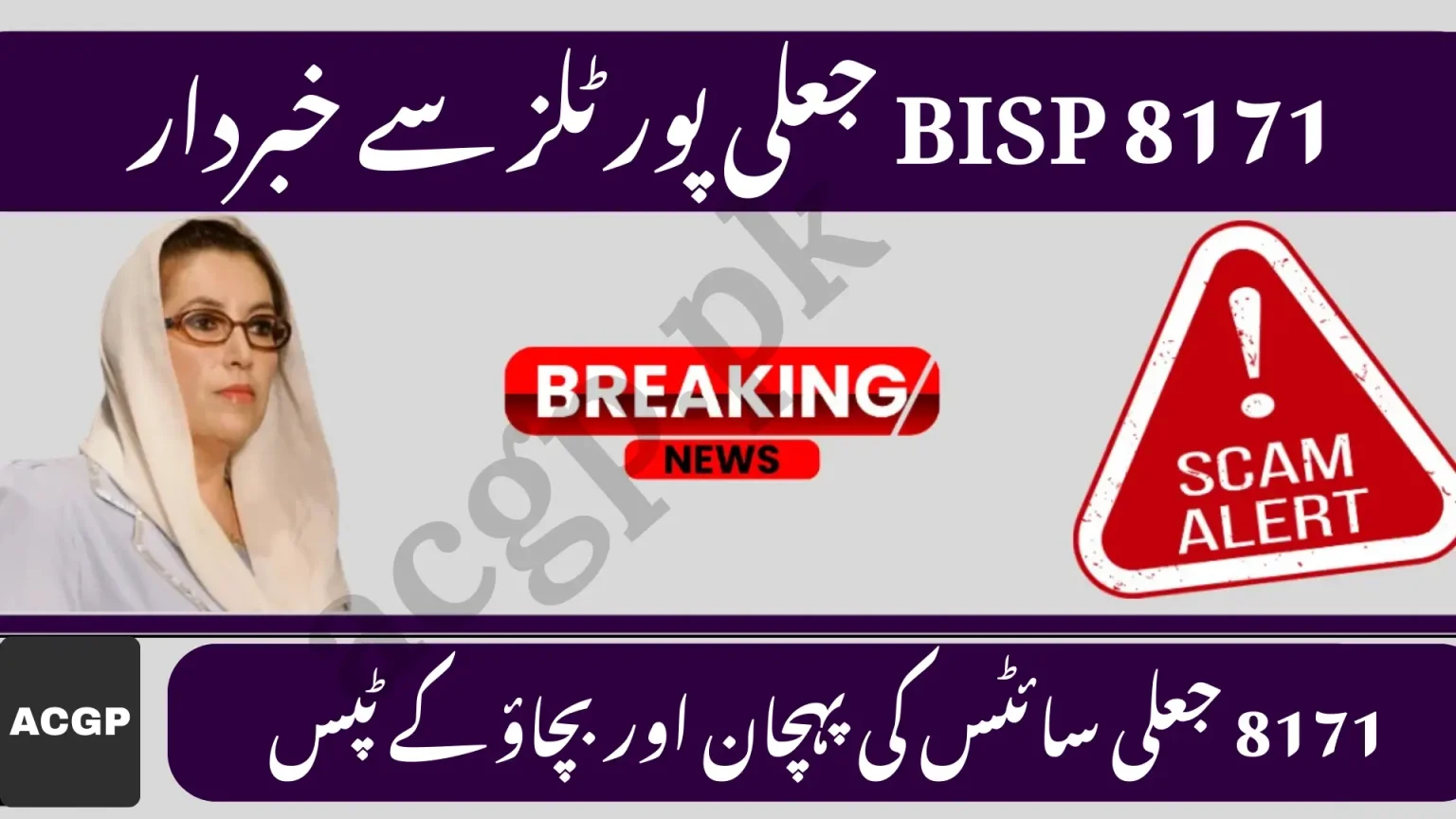 Protect Your CNIC Data from Fake BISP 8171 Websites
