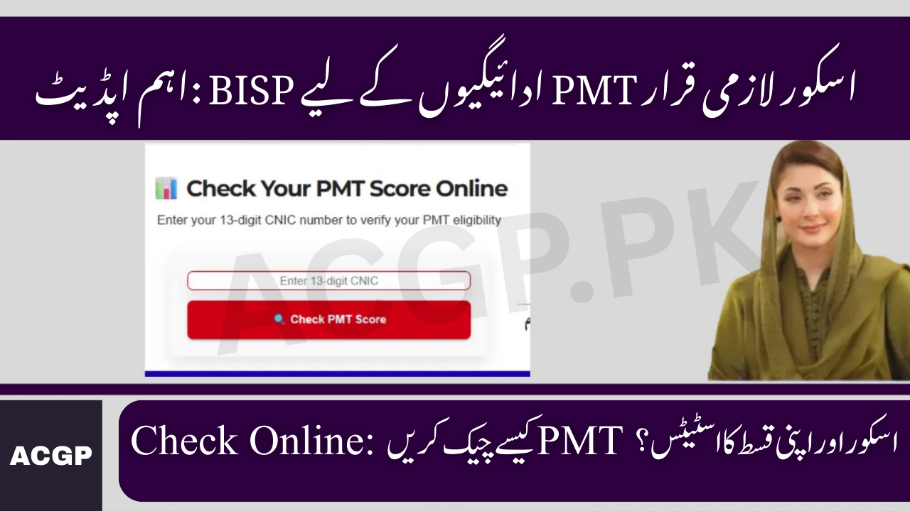 Check PMT Score Online for BISP 8171 September 2025 Payments